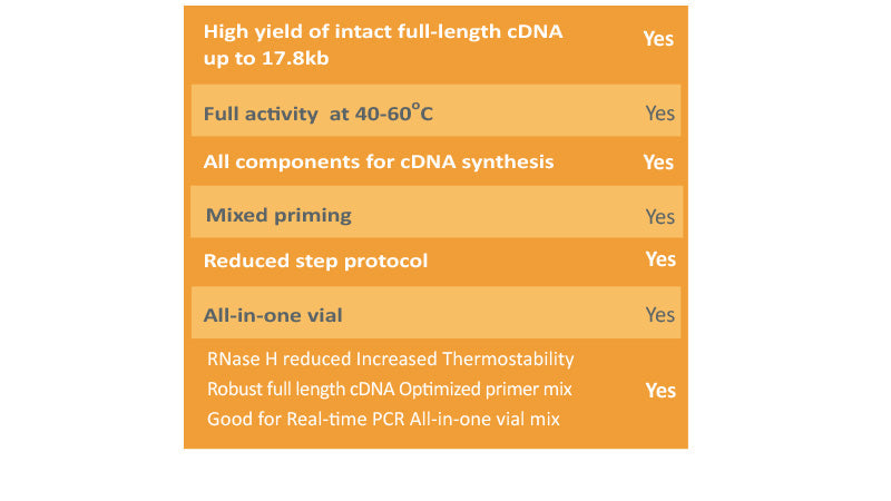 amfiRivert Sensi cDNA Synthesis Master Mix(4X)