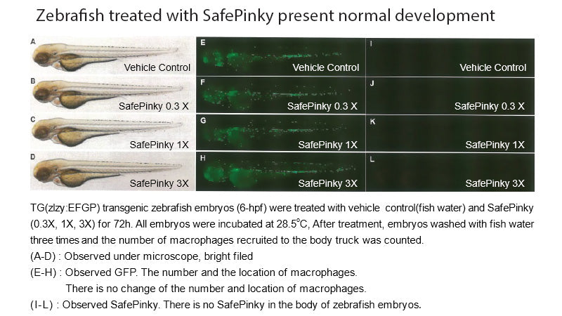 SafePinky DNA Gel Staining Solution 500ml