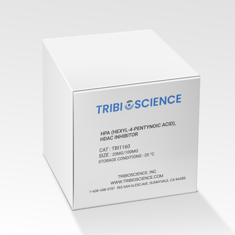 HPA (Hexyl-4-pentynoic acid), HDAC inhibitor (TBI1160)
