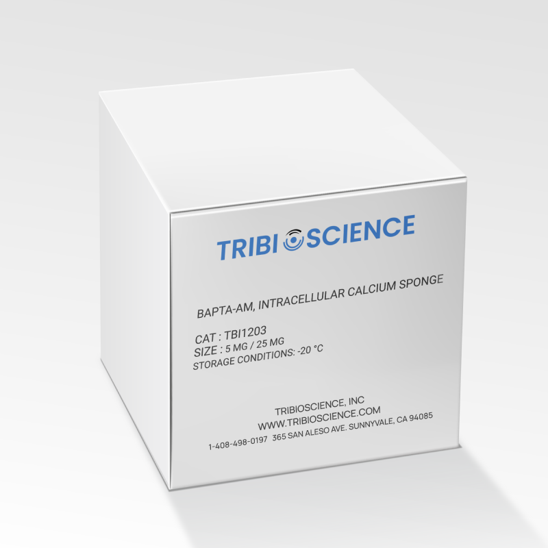 BAPTA-AM, Intracellular calcium sponge (TBI1203)