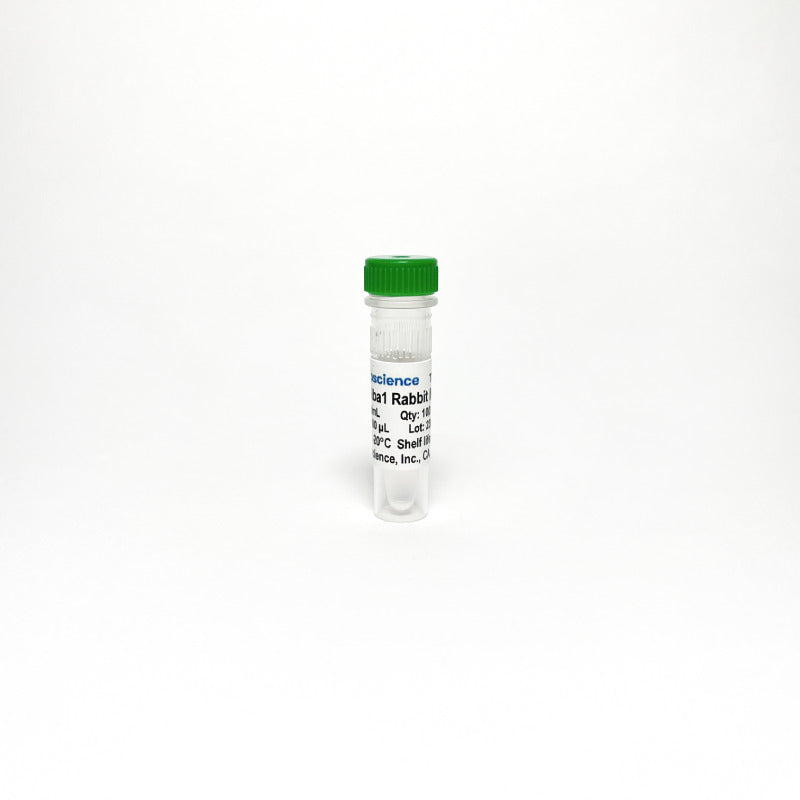 Anti-Iba1 Antibody Monoclonal Antibody (TBS10075)
