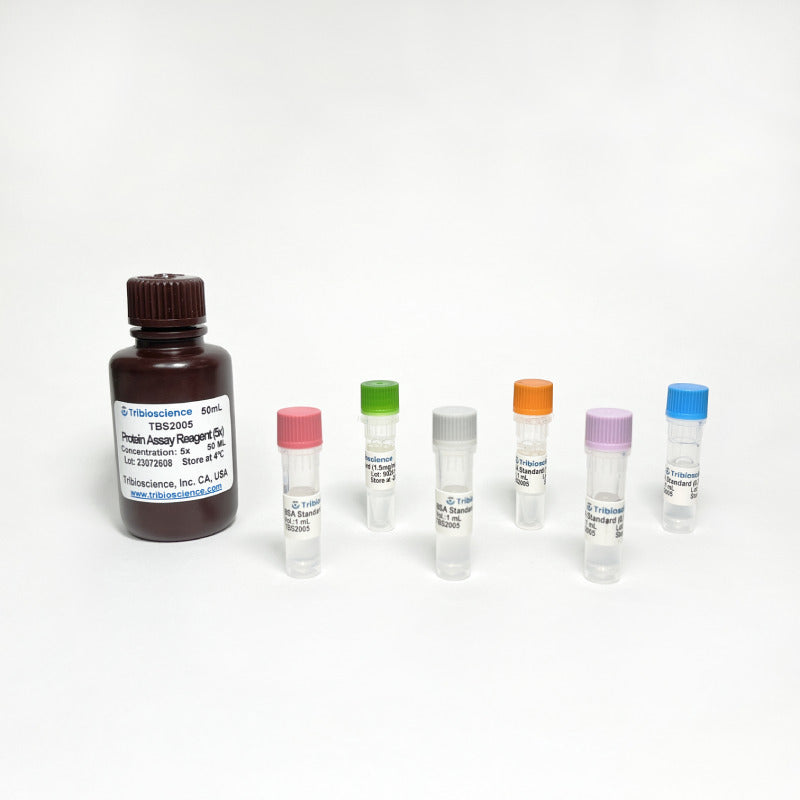 Protein Assay Kit (TBS2005)