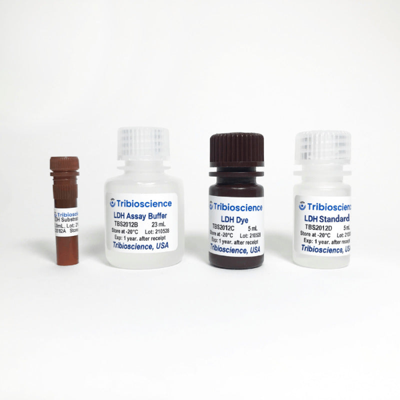 LDH Lactate Dehydrogenase Colorimetric Assay (TBS2012)
