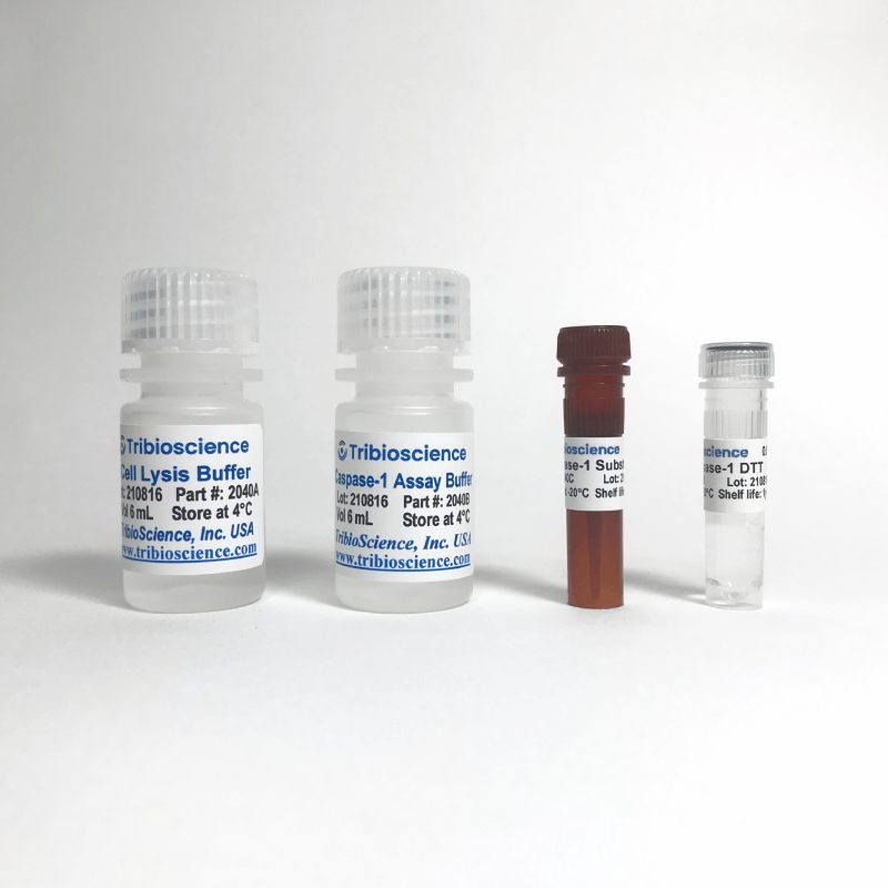 Caspase-1 Colorimetric Assay Kit (TBS2040)