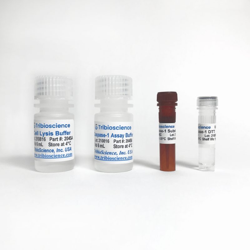 Caspase-1 Fluorometric Assay Kit (TBS2045)
