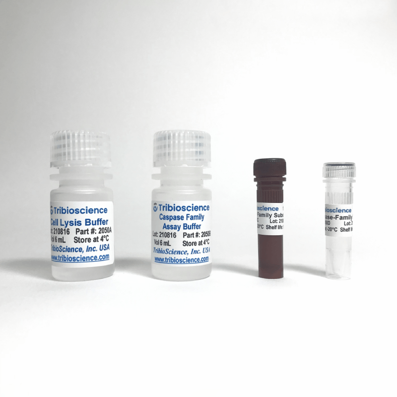 Caspase-Family Colorimetric Assay Kit (TBS2050)