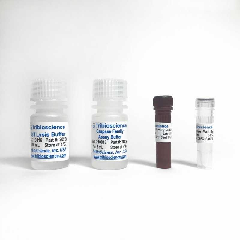 Caspase-Family Fluorometric Assay Kit (TBS2055)