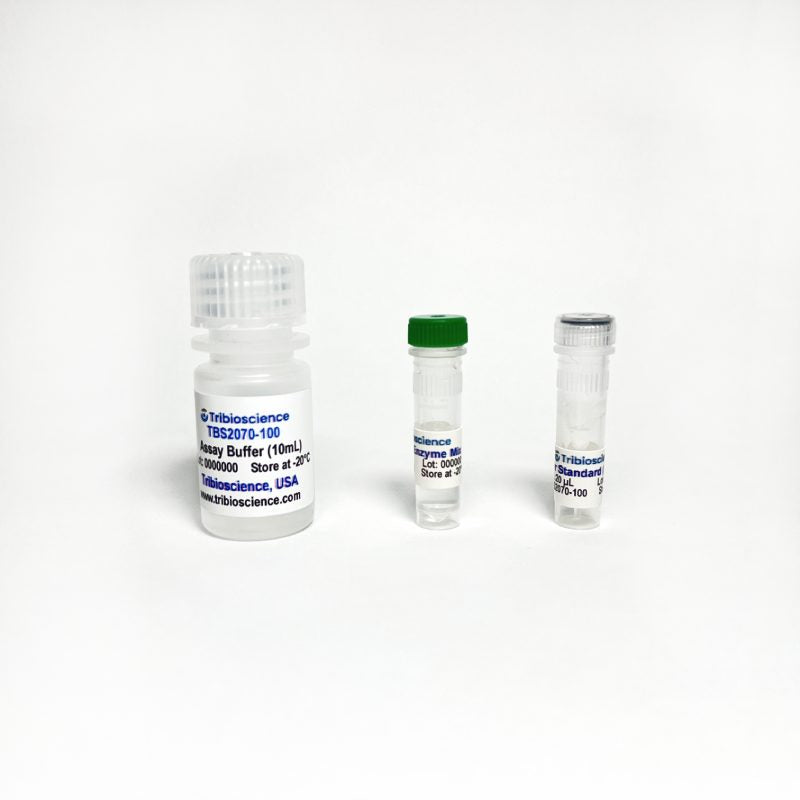 Tyrosine Colorimetric Assay
