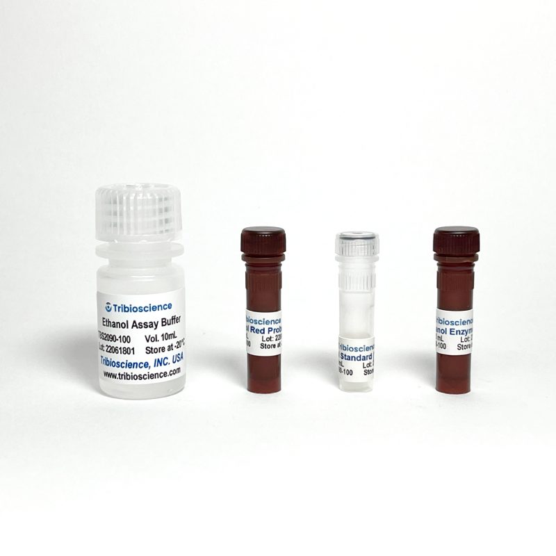 Ethanol Assay Kit (Colorimetric / Fluorometric)