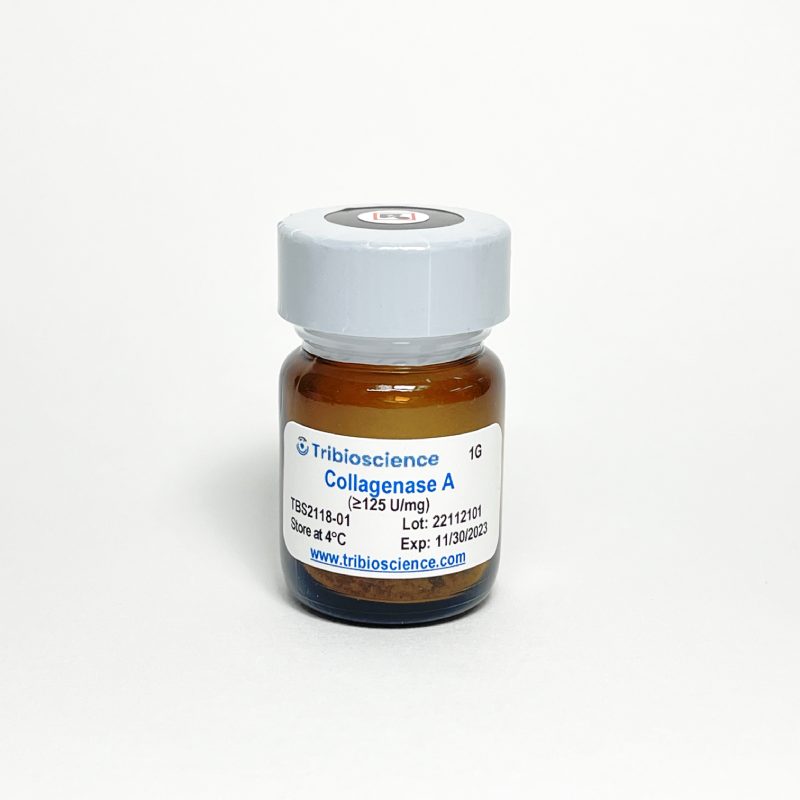 Collagenase A (TBS2118)
