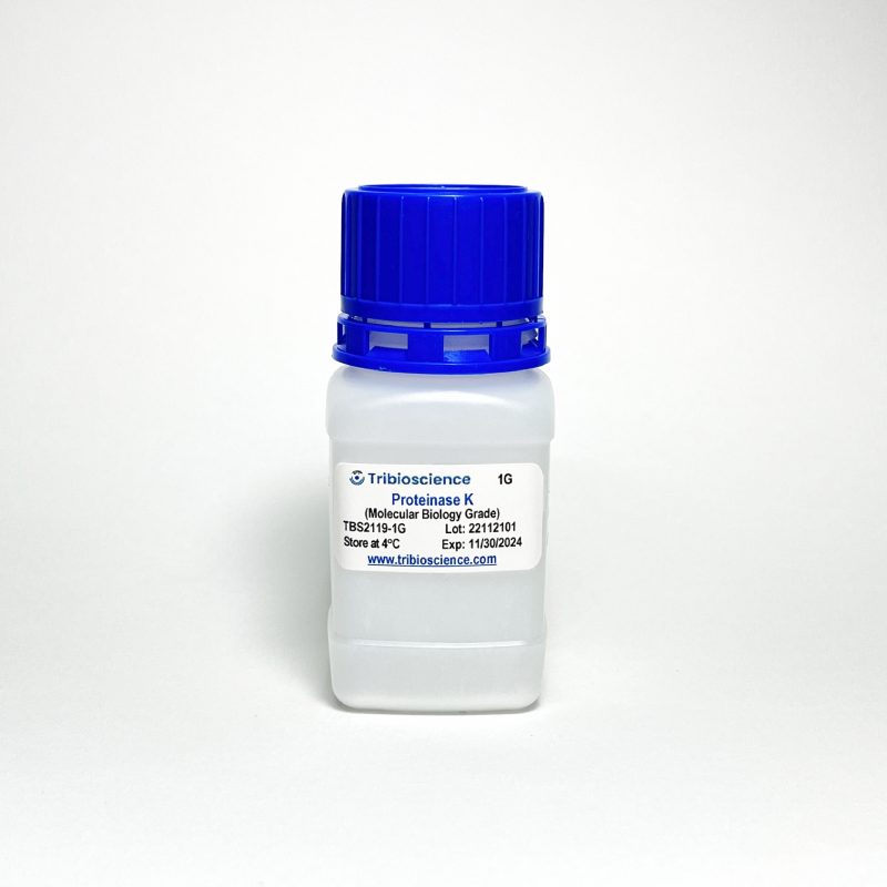 Proteinase K, Lyophilized Powder, Molecular Biology Grade (TBS2119)