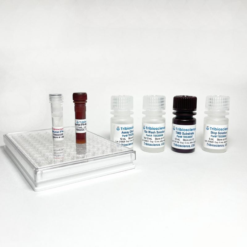 Human IFN-Alpha Fast ELISA (TBS3211)
