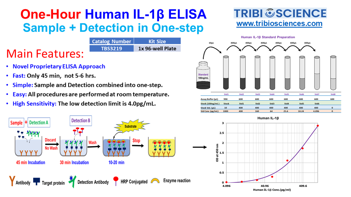 Human IL-1 ß; ELISA; 1 step and 1hr