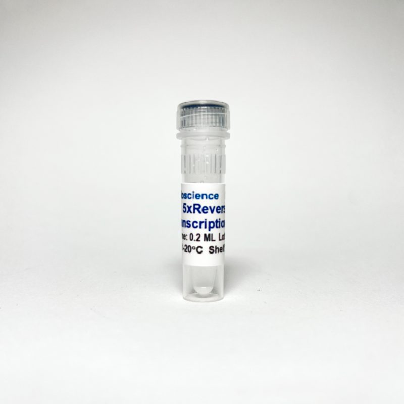 Tribo™ Reverse Transcription Reaction Kit