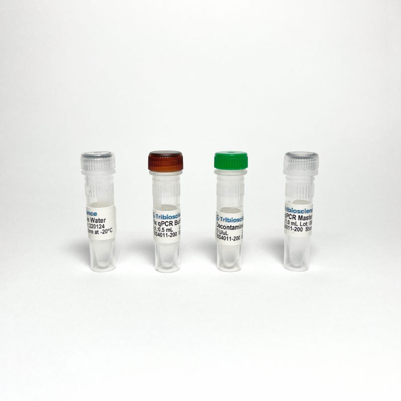 Probe qPCR Master Mix (TBS4011)