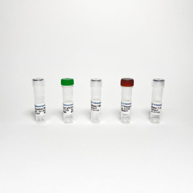 T7 Phage/Bacteriophage qPCR Titer (TBS4049)