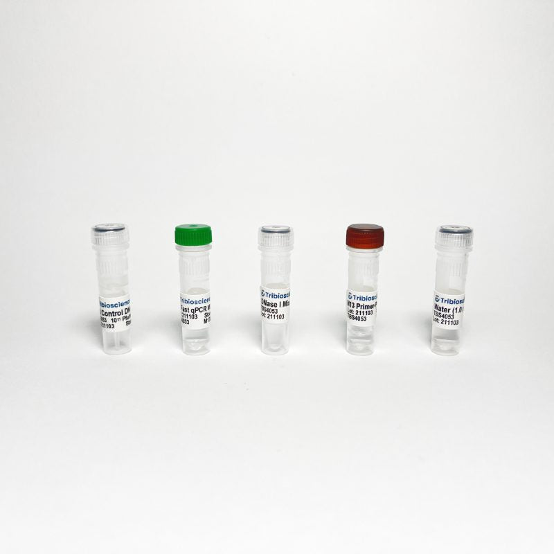 M13 Phage/Bacteriophage qPCR Titer (TBS4053)
