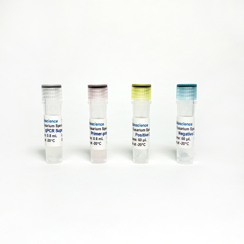 Fusarium Species TaqProbe qPCR Detection (TBS42019)