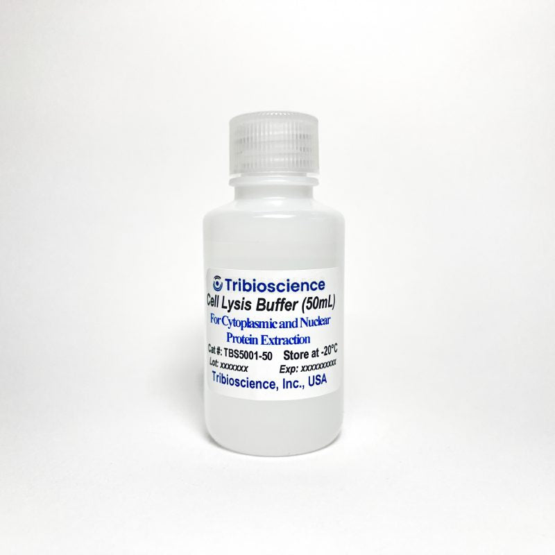 Protein Cell Lysis Buffer (5x)