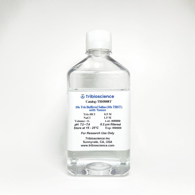 Tris Buffered Saline with Tween (TBST) (TBS5008T)