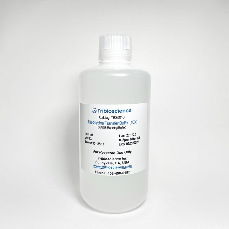 10x PAGE-gel transfer buffer