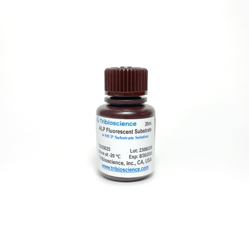 ALP Fluorescence Substrate system