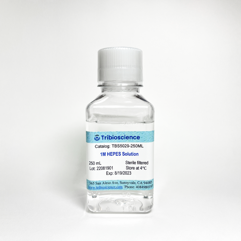 HEPES Buffer Solution (1M)