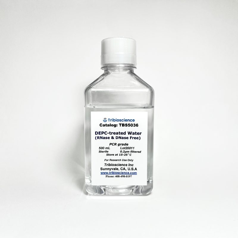 DEPC-Treated Water