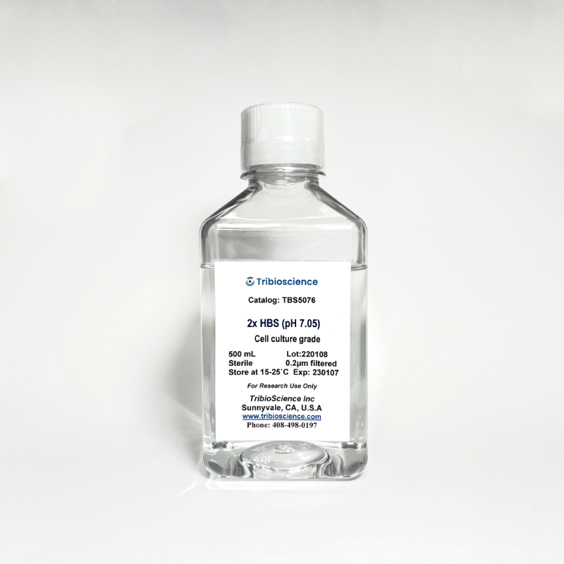 2x HBS, pH 7.05 (Sterile, Tissue Culture Grade) (TBS5076)