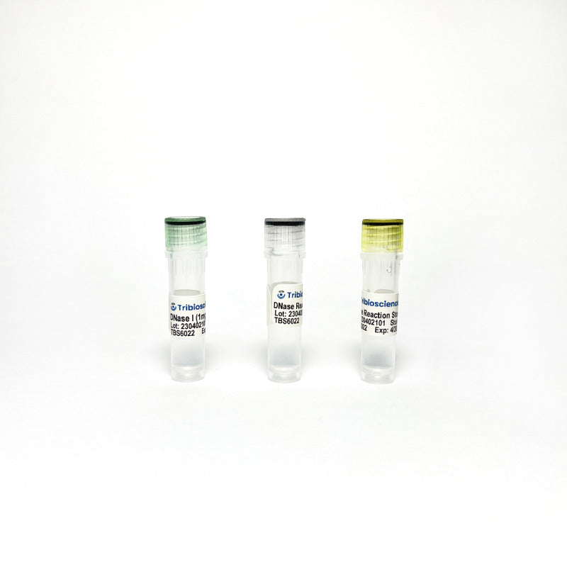Tribo™ DNase I Solution (1 mg/mL)
