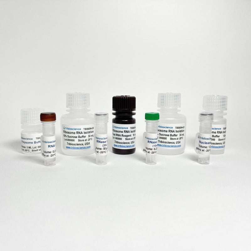 Ribosome RNA Purification Kit (TBS6094)