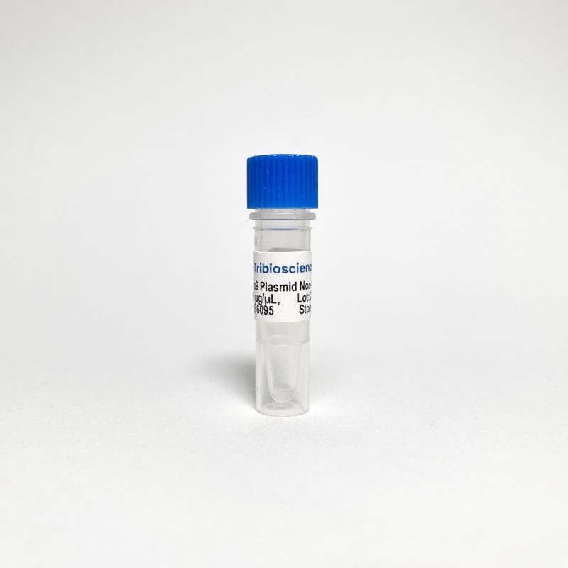 Cas9 Nuclease Plasmid Non-Viral Vector (TBS6095)