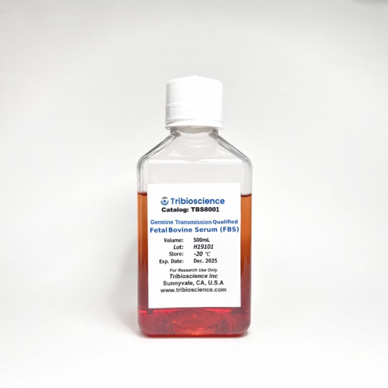 Tribo™ Germine Transmission Qualified Fetal Bovine Serum (FBS)