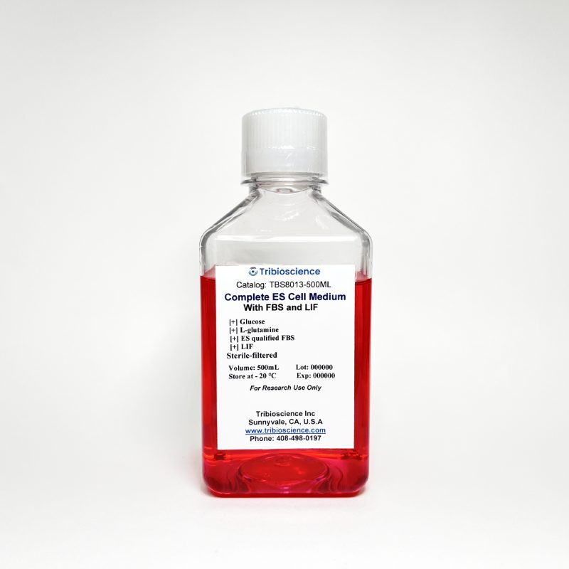 Complete ES Cell Medium With 15% FBS and LIF