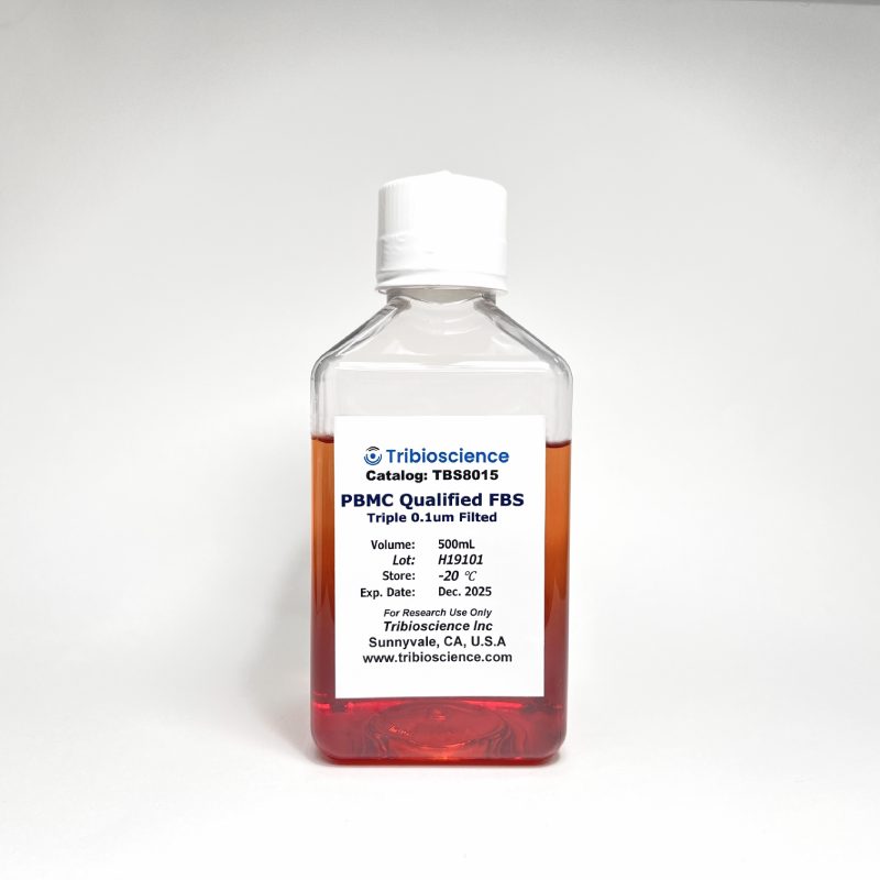 Tribo™ Peripheral Blood Mononucleated Cell (PBMC) Qualified Fetal Bovine Serum (FBS)