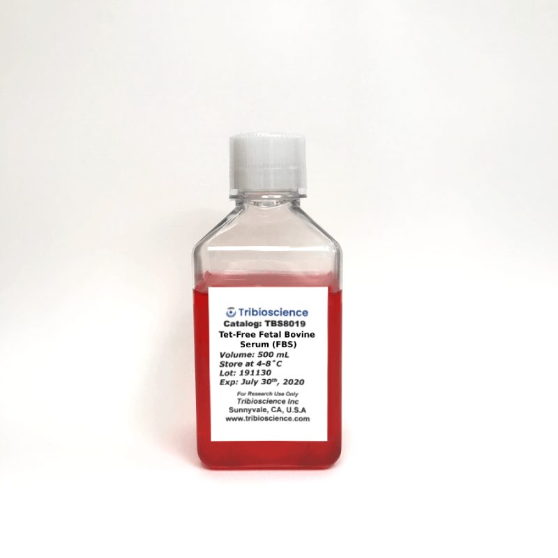 Tribo™ Tet-Free Fetal Bovine Serum (FBS)