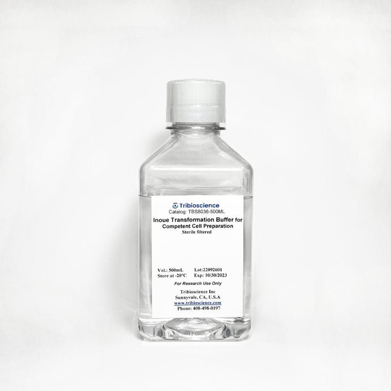 Inoue Transformation Buffer for Preparation of Competent Cells (TBS8036)