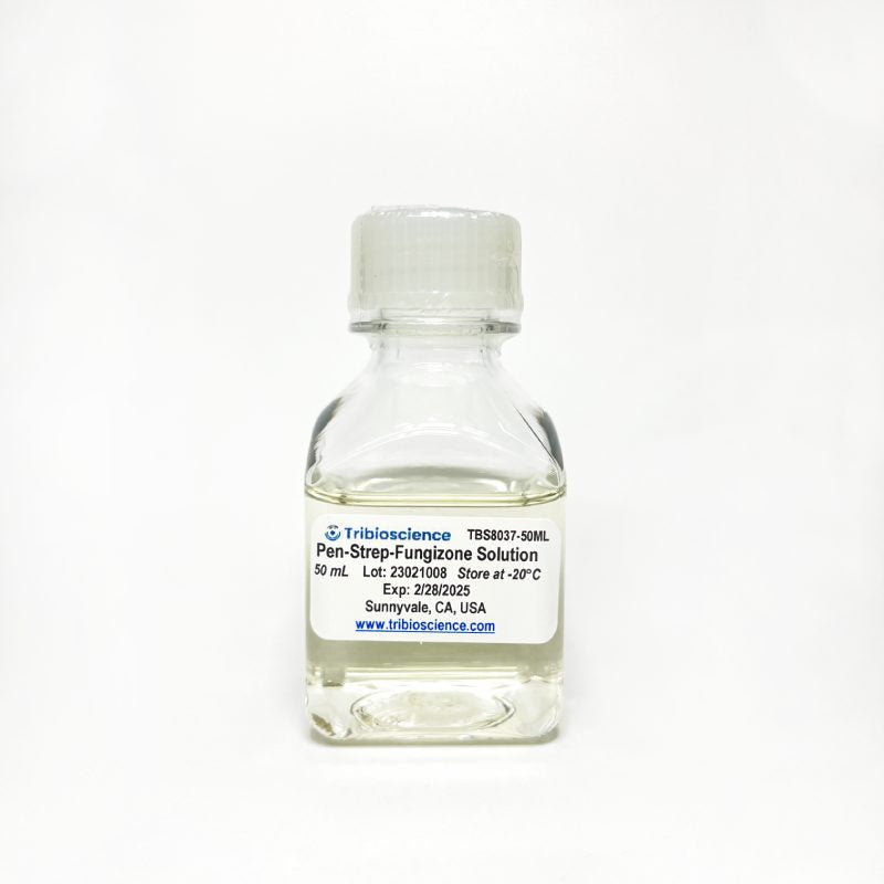 Antibiotic Antimycotic (Pen/Strep/Fungizone) Solution (100x) (TBS8037)