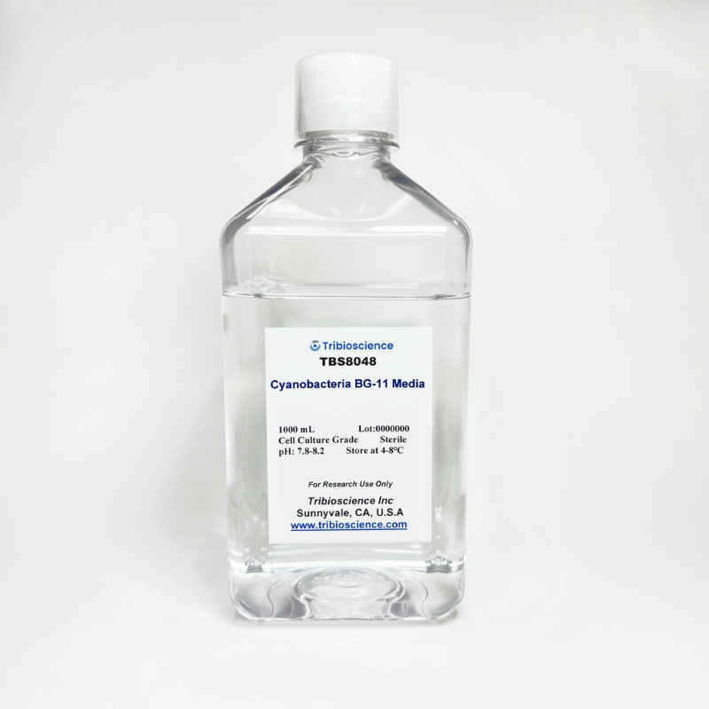 Cyanobacteria BG-11 Media (TBS8048)