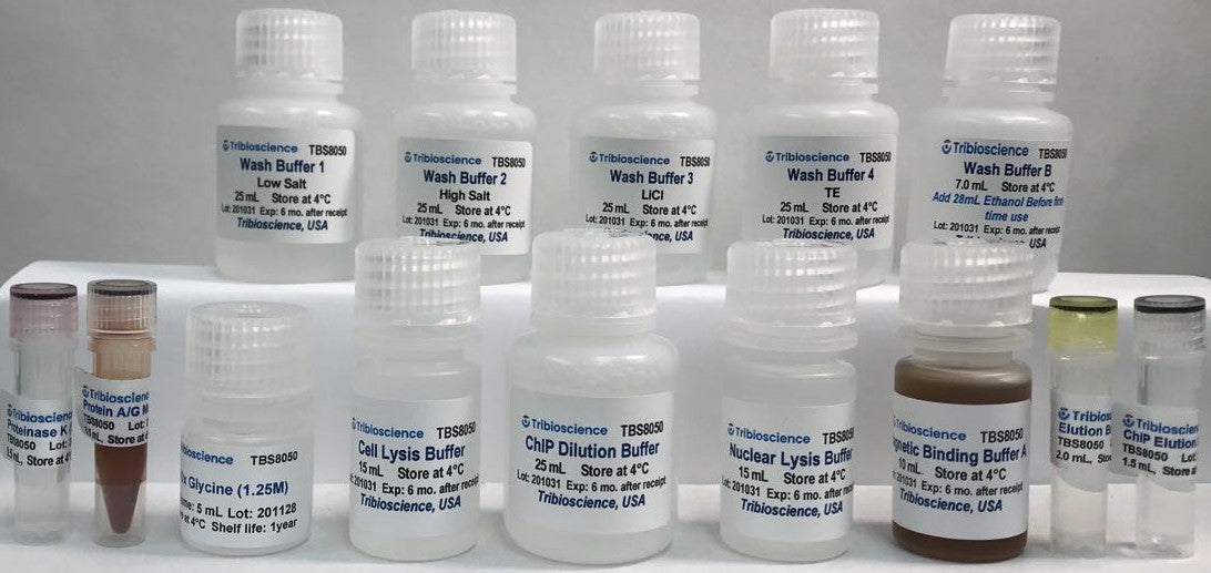 Tribo™ Chromatin Immunoprecipitation (ChIP) Assay Kit