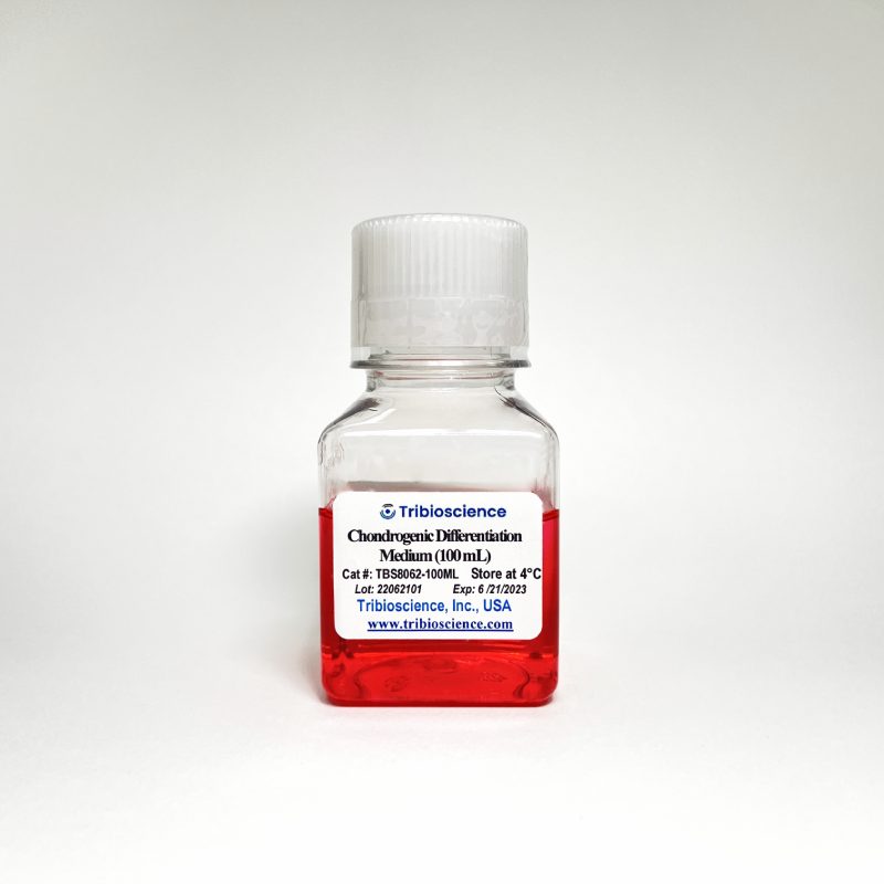 Tribo™ Chondrogenic Differentiation Medium