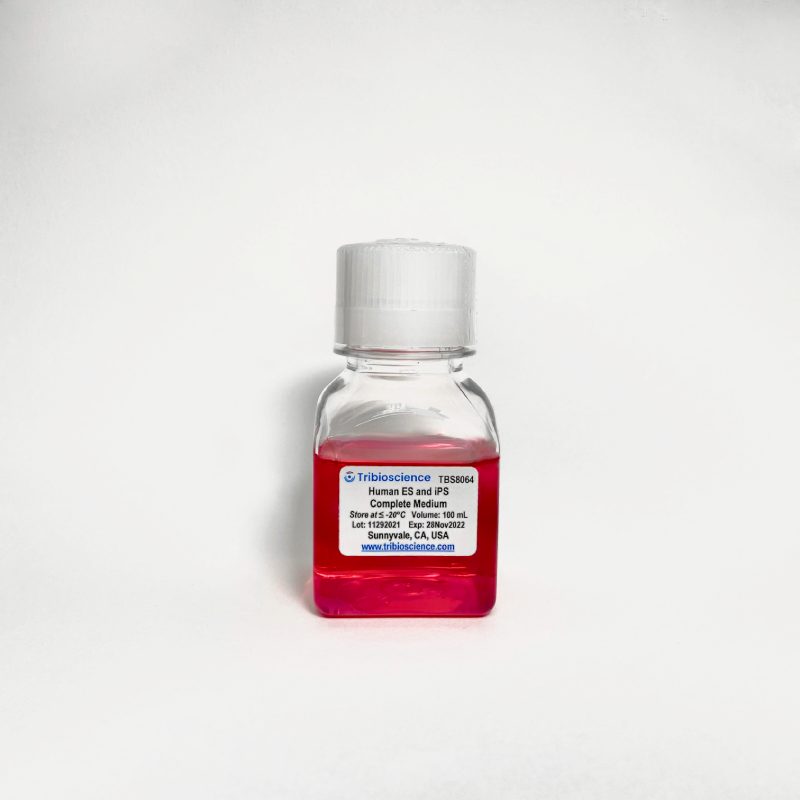 Human ES and iPS Complete Cell Medium (Chemically defined)