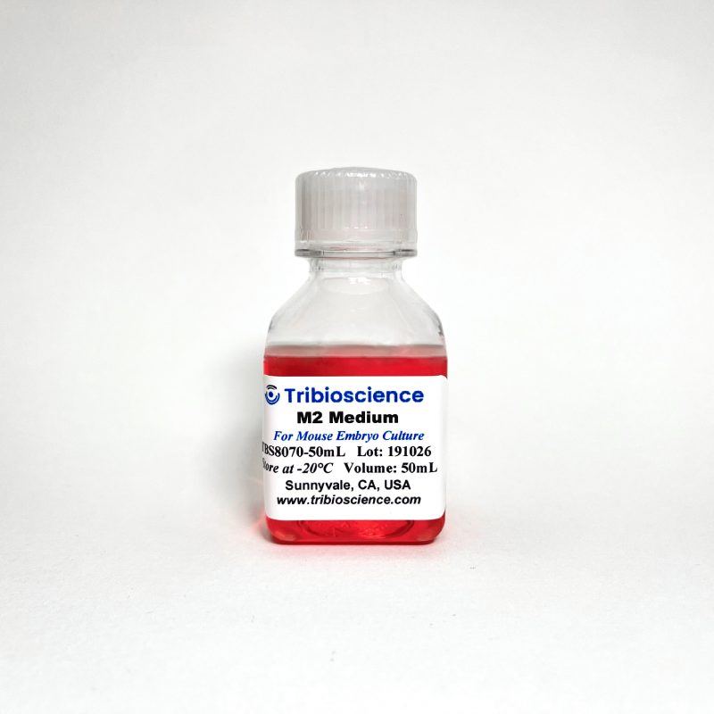 M2 Mouse Embryo Medium (TBS8070)
