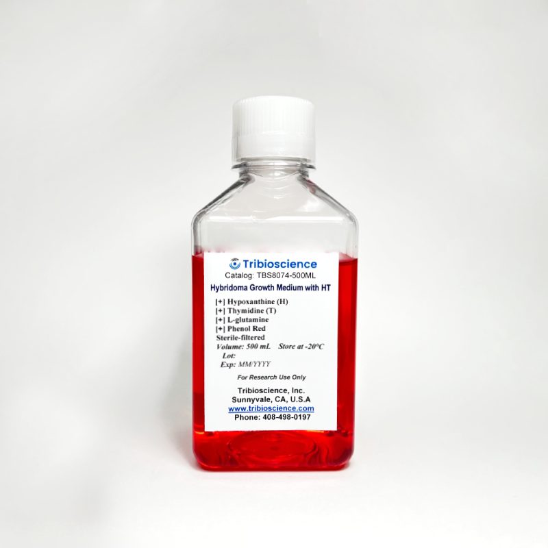 Hybridoma Cell Growth Medium with Hypoxanthine-Thymidine (HT) (TBS8074)