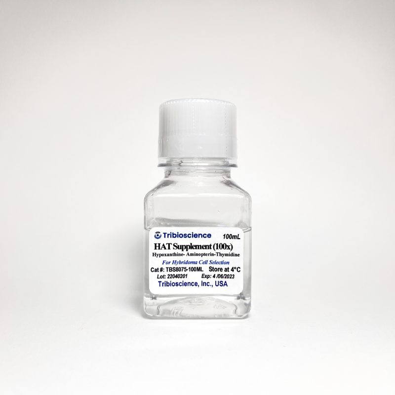 Hypoxanthine-Aminopterin-Thymidine (HAT) Supplement (100x) for Hybridoma Cell Selection (TBS8075)