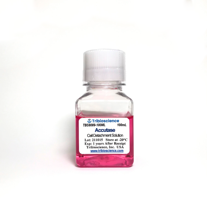 Accutase Cell Detachment Solution