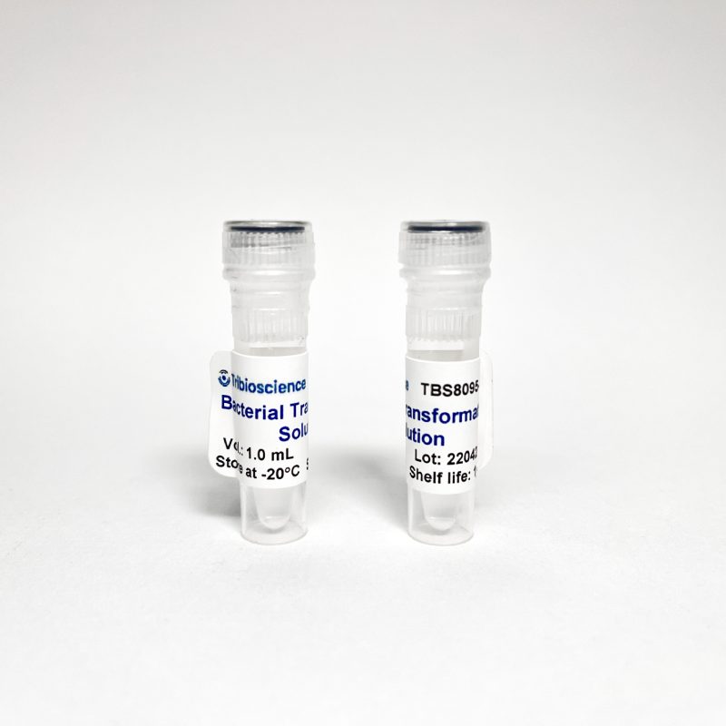 Bacterial Transformation Buffer (TBS8095)