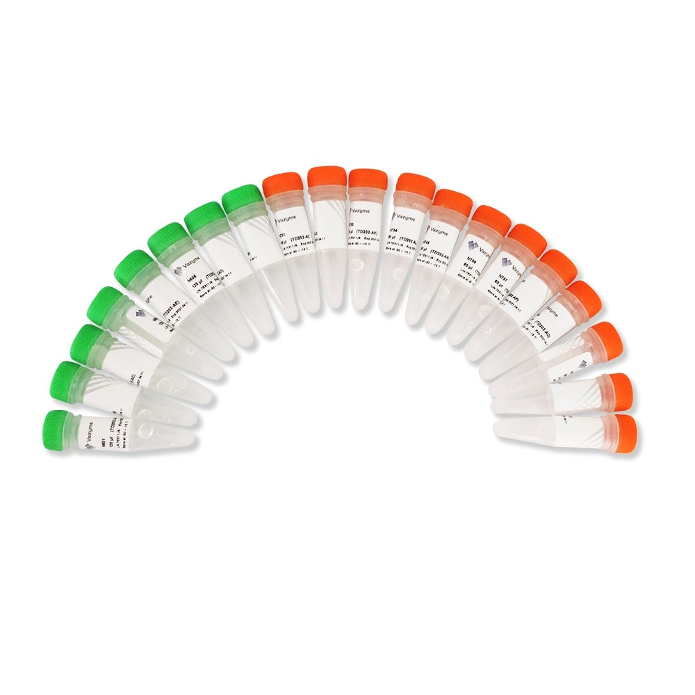 TruePrepTM Index Kit V3 for Illumina TD203