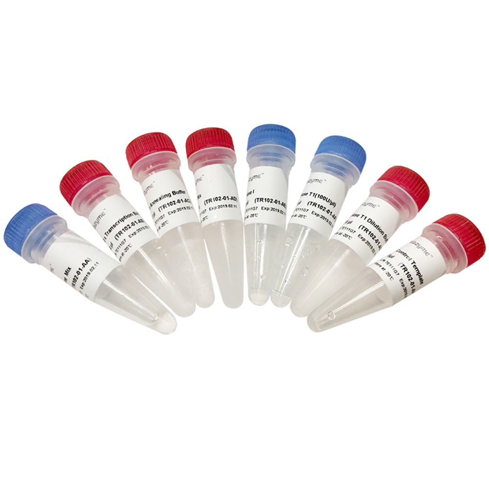 T7 RNAi Transcription Kit TR102