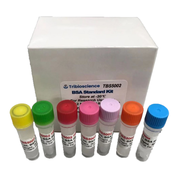 BSA Standard solution